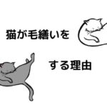 猫のしっぽが膨らむ理由は 膨らんだときの気持ちを解説 我が家の2匹の事例もご紹介 さちblog